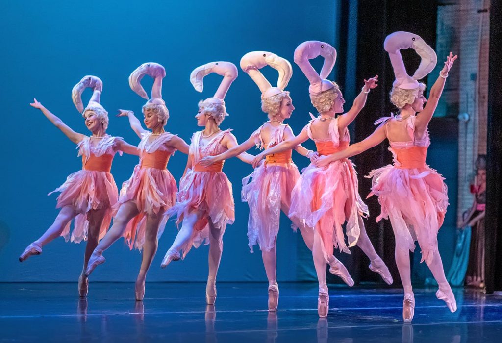 Six American Midwest Ballet company dancers are dressed pink skirts and bodices adorned with feathers.

They wear tall headpieces in the shape of flamingo heads as they perform in AMB's ballet, "Party Animals".